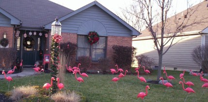 Wilson_Flock_12-06 2