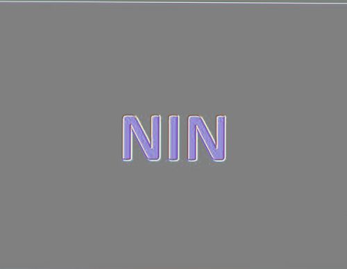 NIN